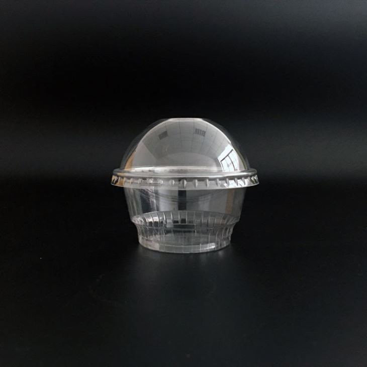 5 oz Plastic PET Ice Cream Cups (2)